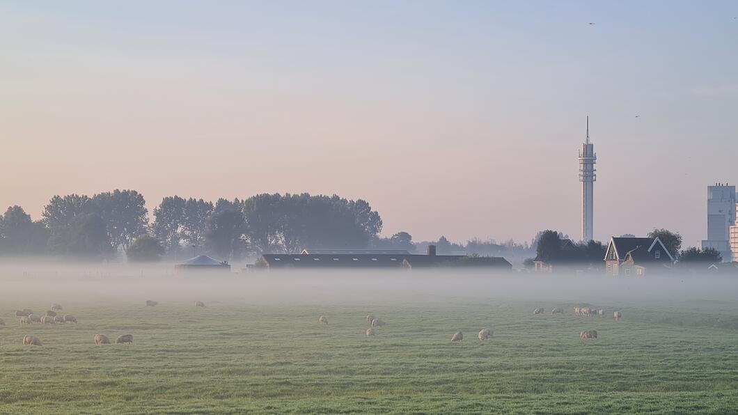 Wormer in de verte