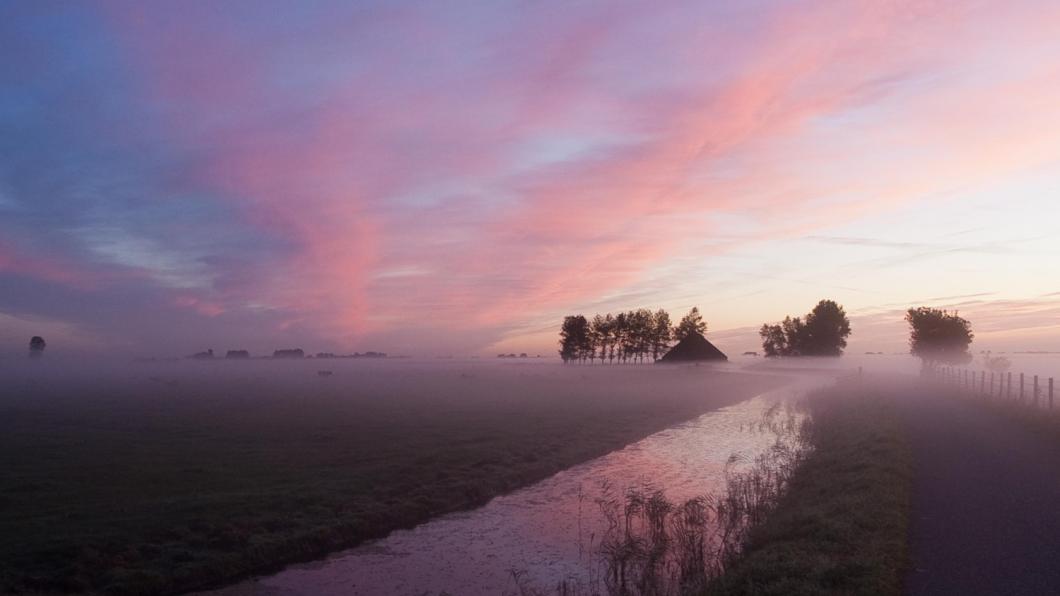 Omhoog met het veen.jpg